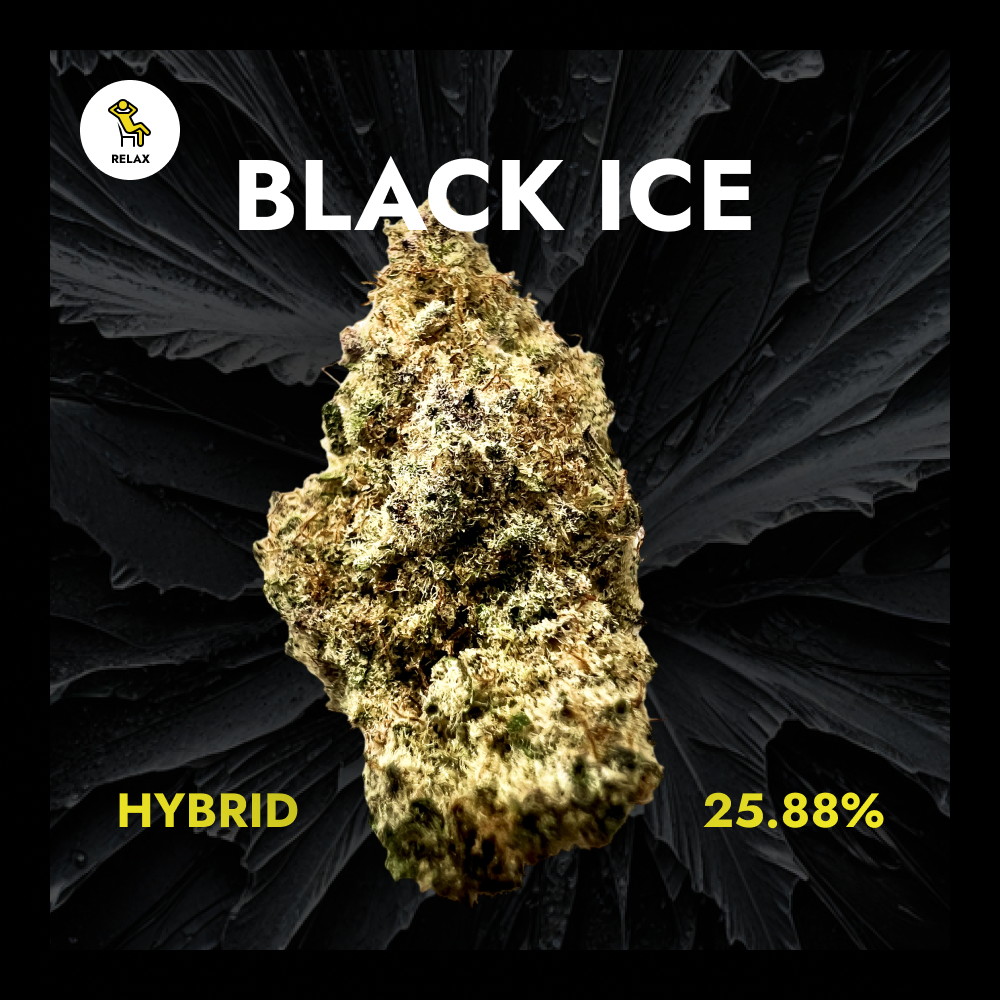 Black Ice - Exotic