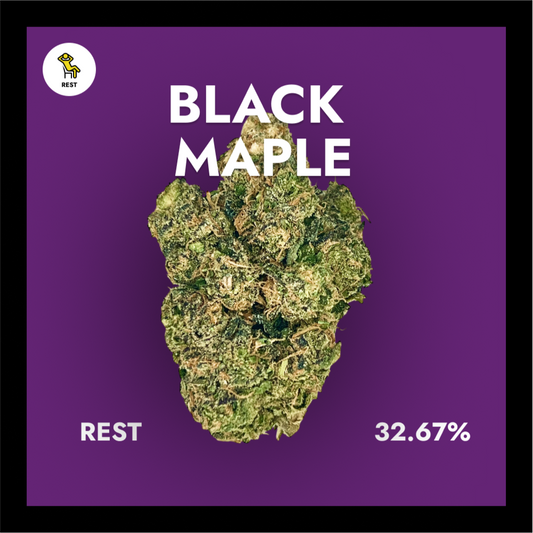 Black Maple - Exotic