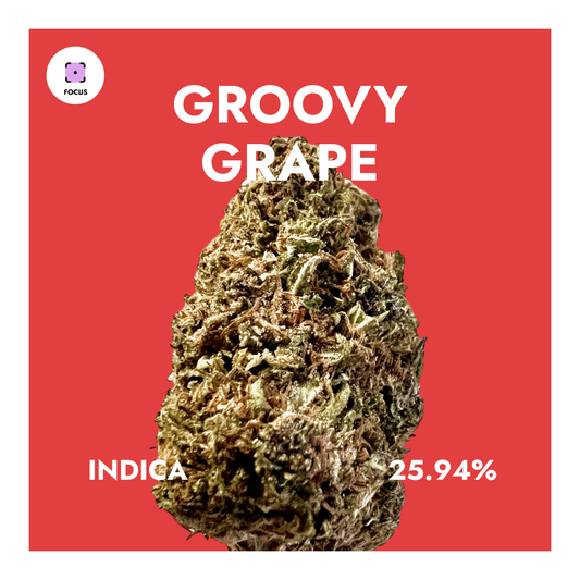 Groovy Grape - Top Shelf